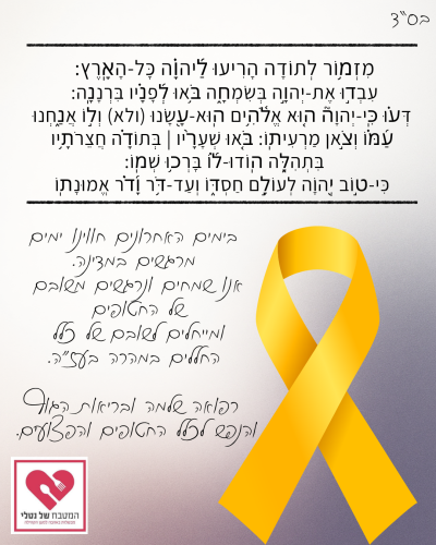 המטבח של נטלי (13) המטבח של נטלי (13)
